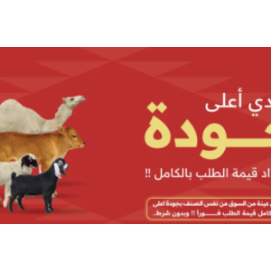 شراء أضاحي العيد أونلاين مع كود خصم 2026