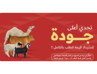 شراء أضاحي العيد أونلاين مع كود خصم 2026